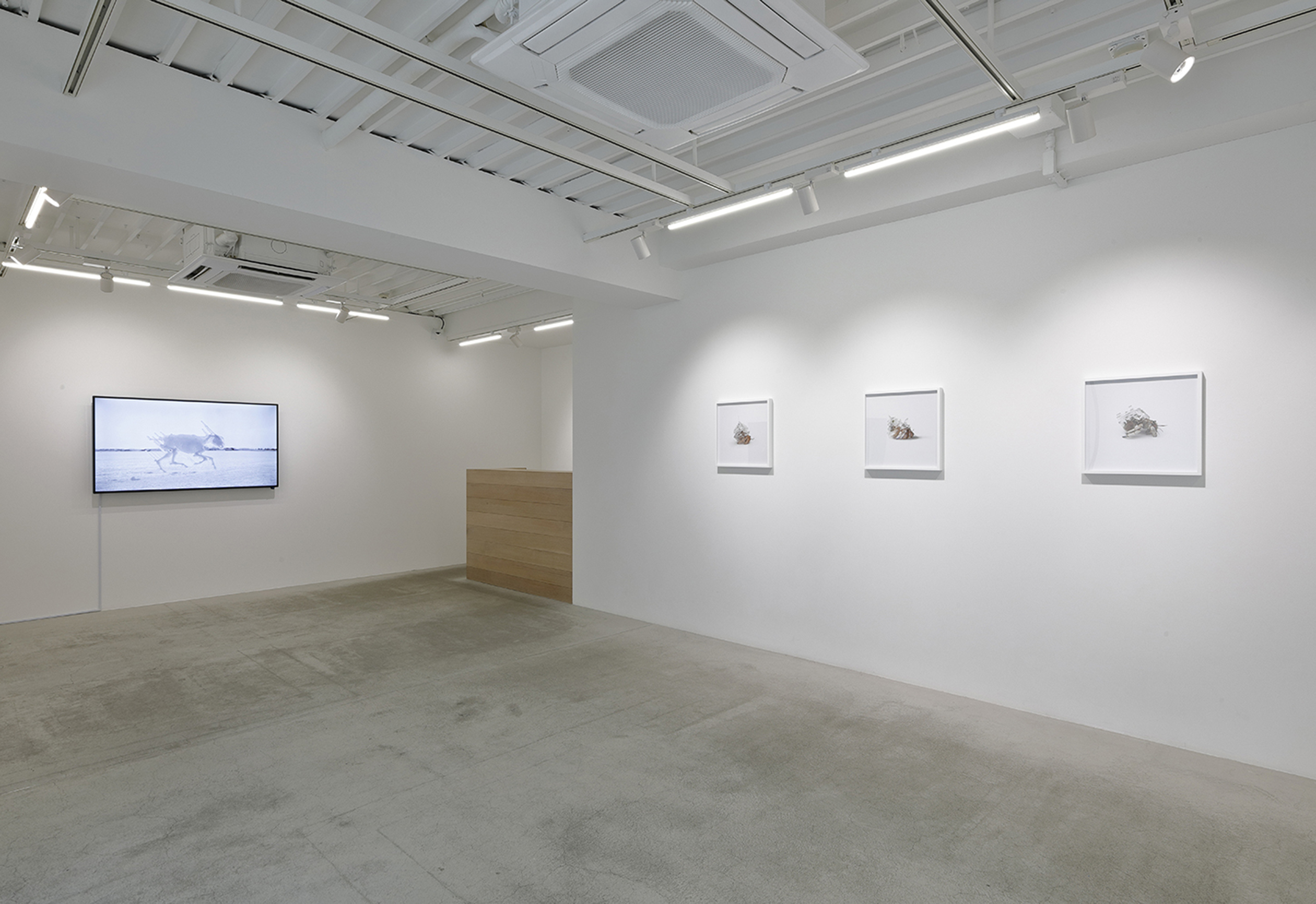 Exhibit: Installation view, 2008-2018